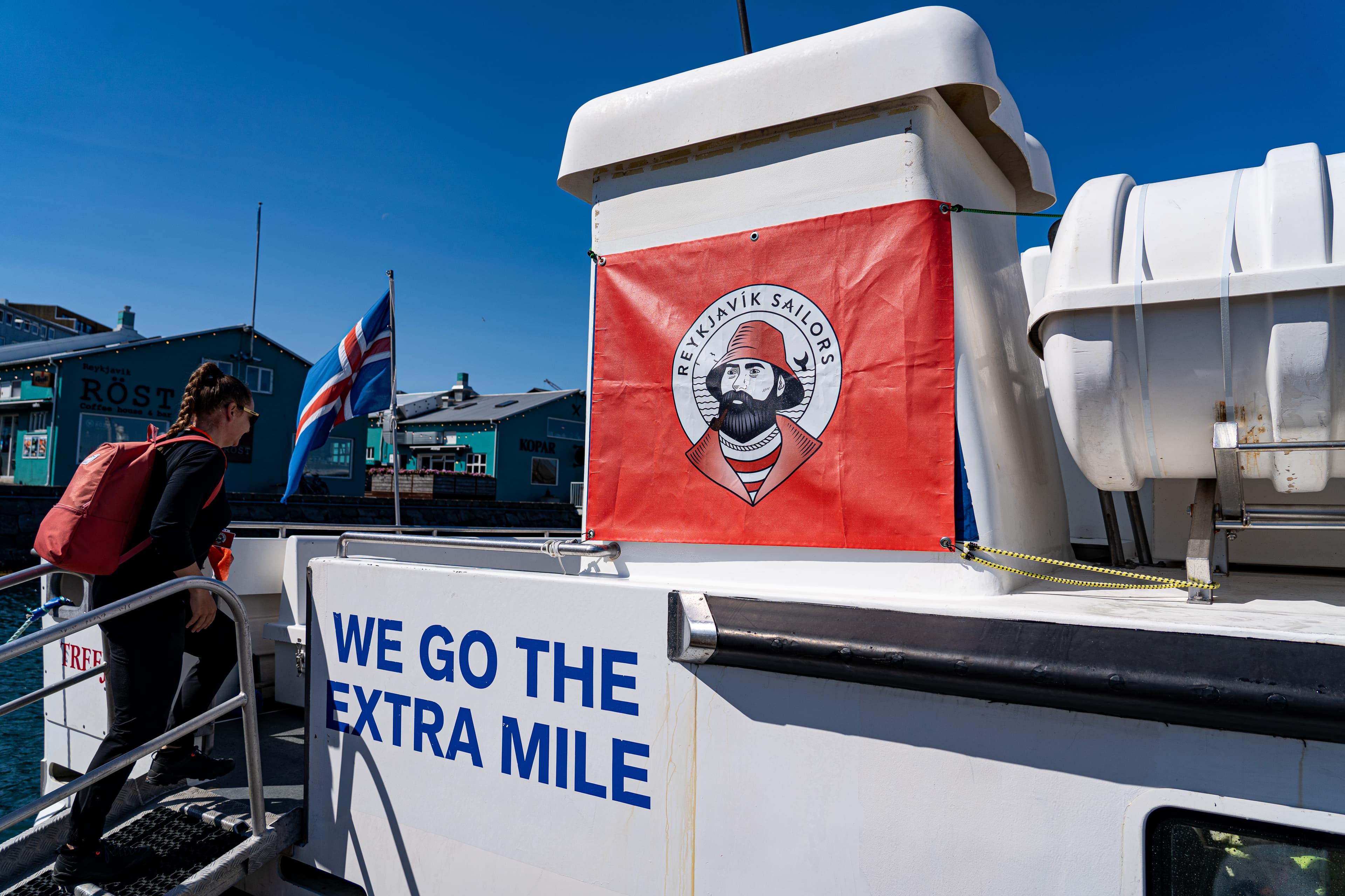 Whale Watching and Puffin Tour: Explore Iceland's Wildlife from Old Harbour in Downtown Reykjavik - photo 29