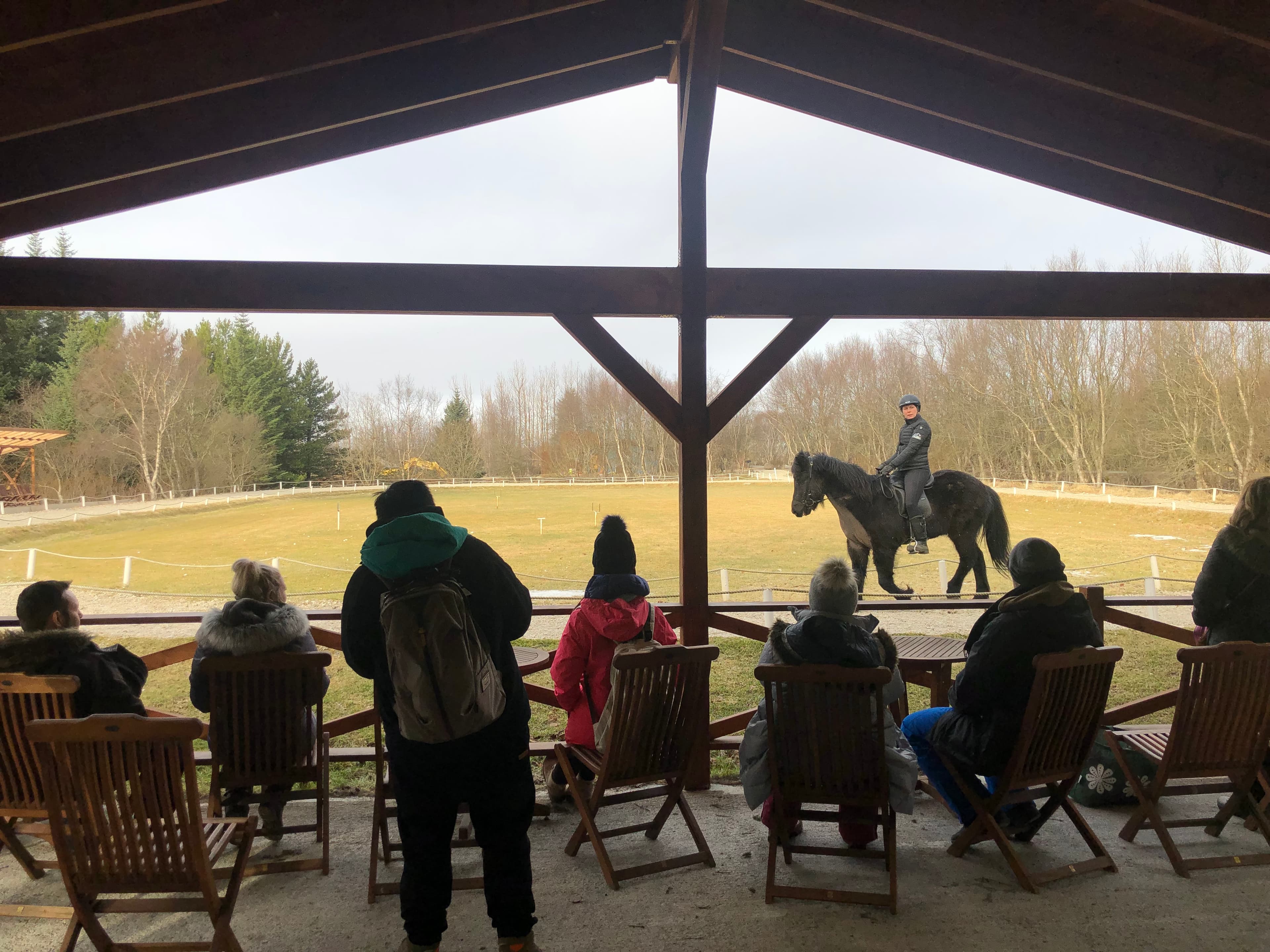 Golden Circle Small Group Tour with Friðheimar Farm Visit - photo 11