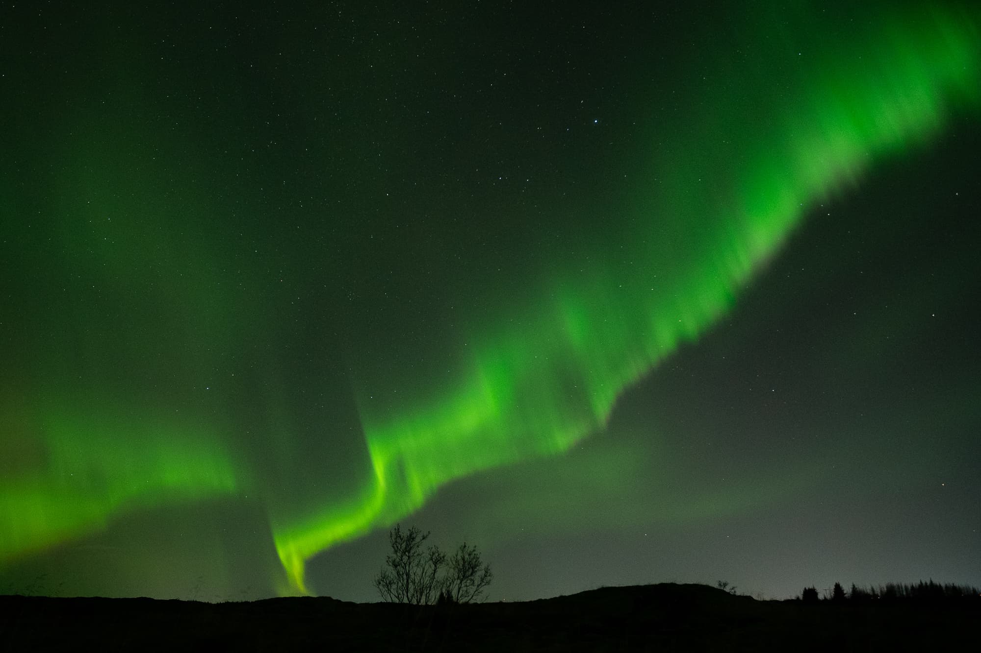 Northern Lights in Mini Bus with Local Pastries, Hot Chocolate, and Photos