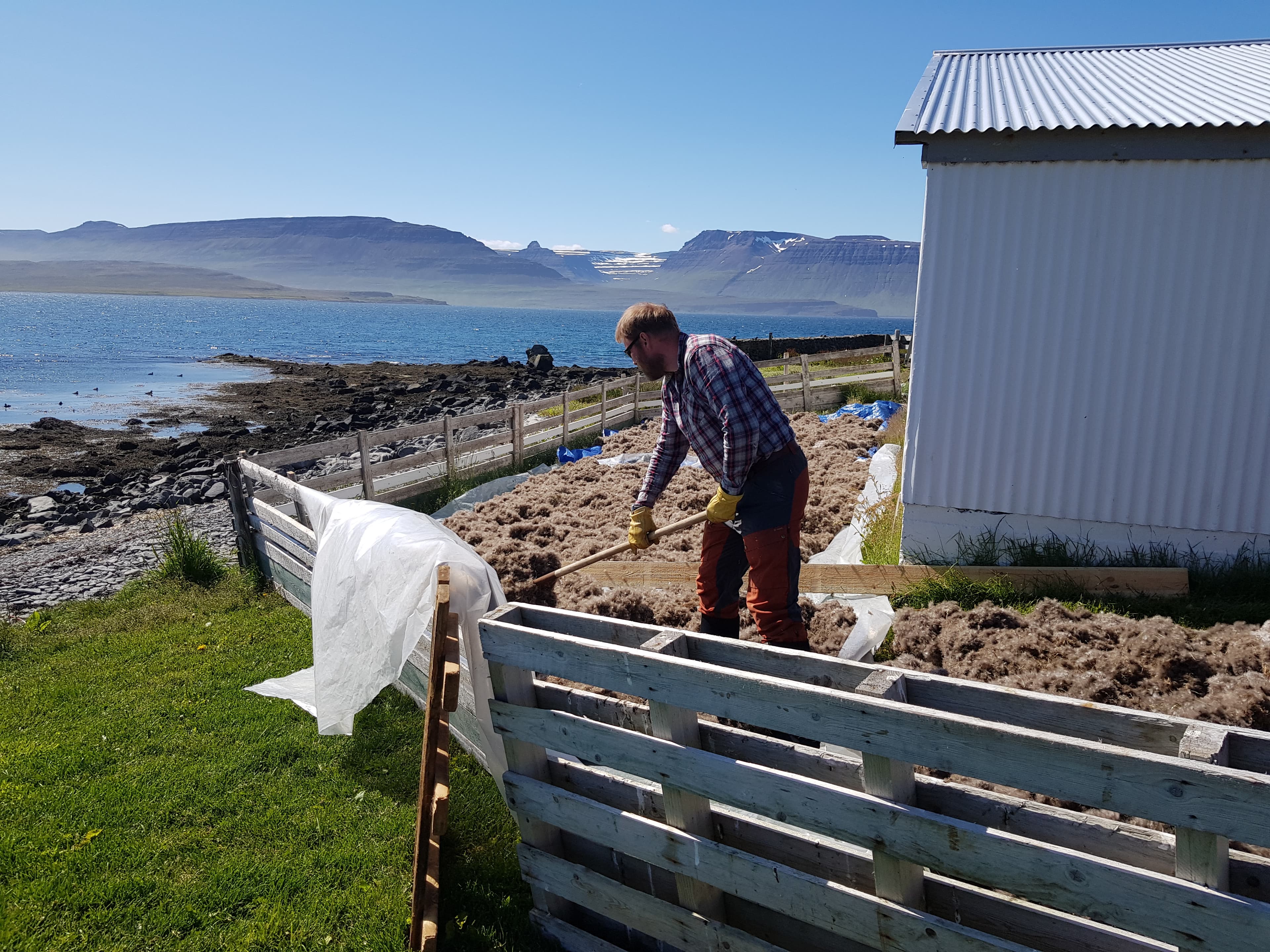 Official Vigur Island Tour (with return boat transfer from Ísafjörður) - photo 18