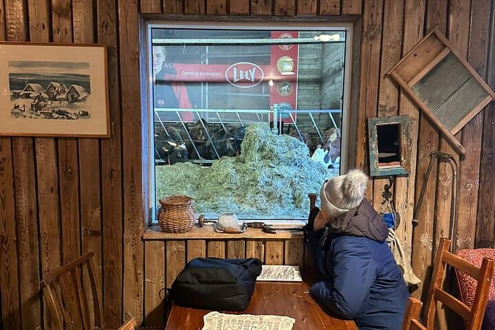 Golden Circle and Waterfalls, with Friðheimar Farm and Kerið in small group - photo 13