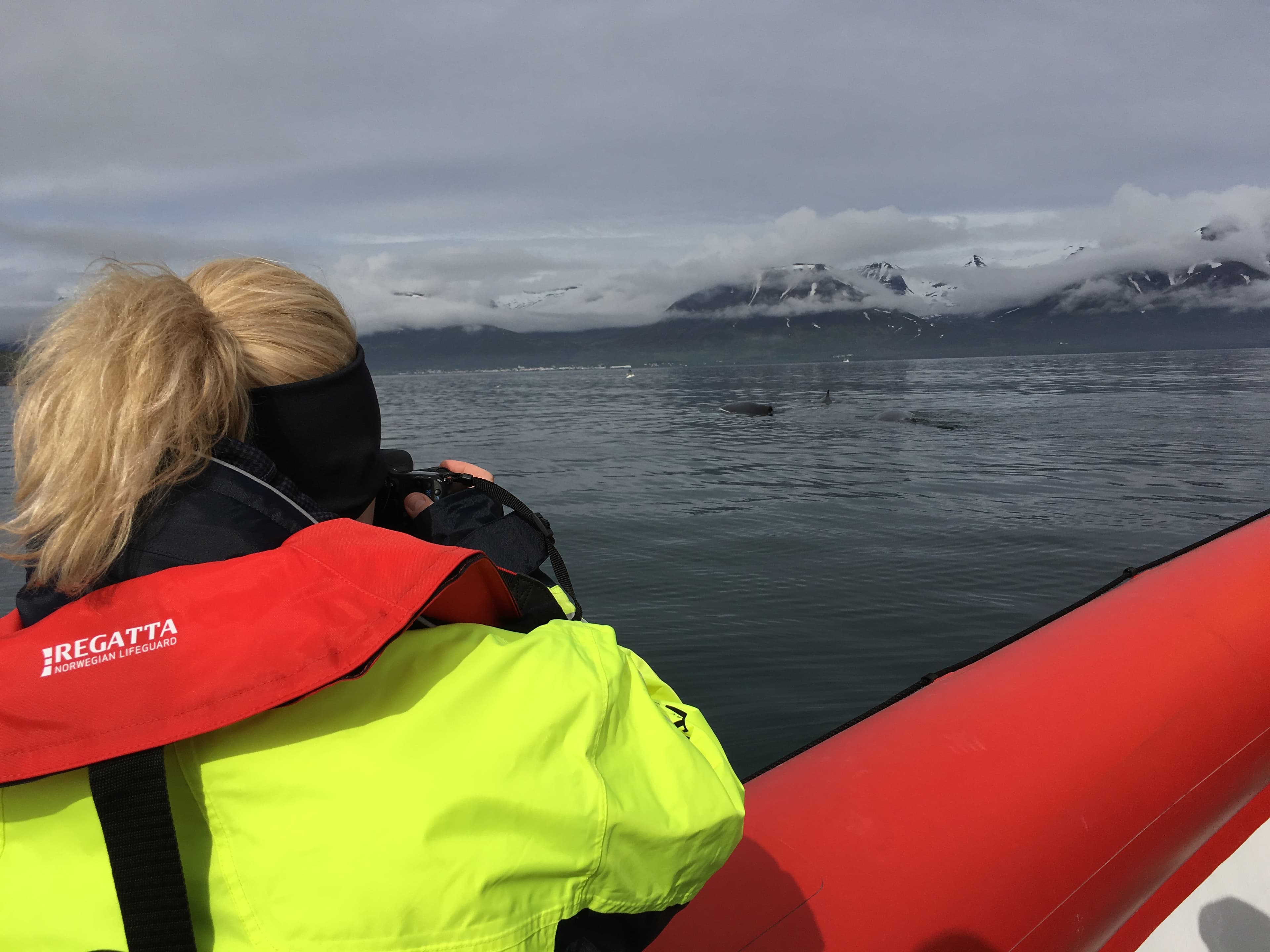Express Whale Watching From Dalvík - photo 13