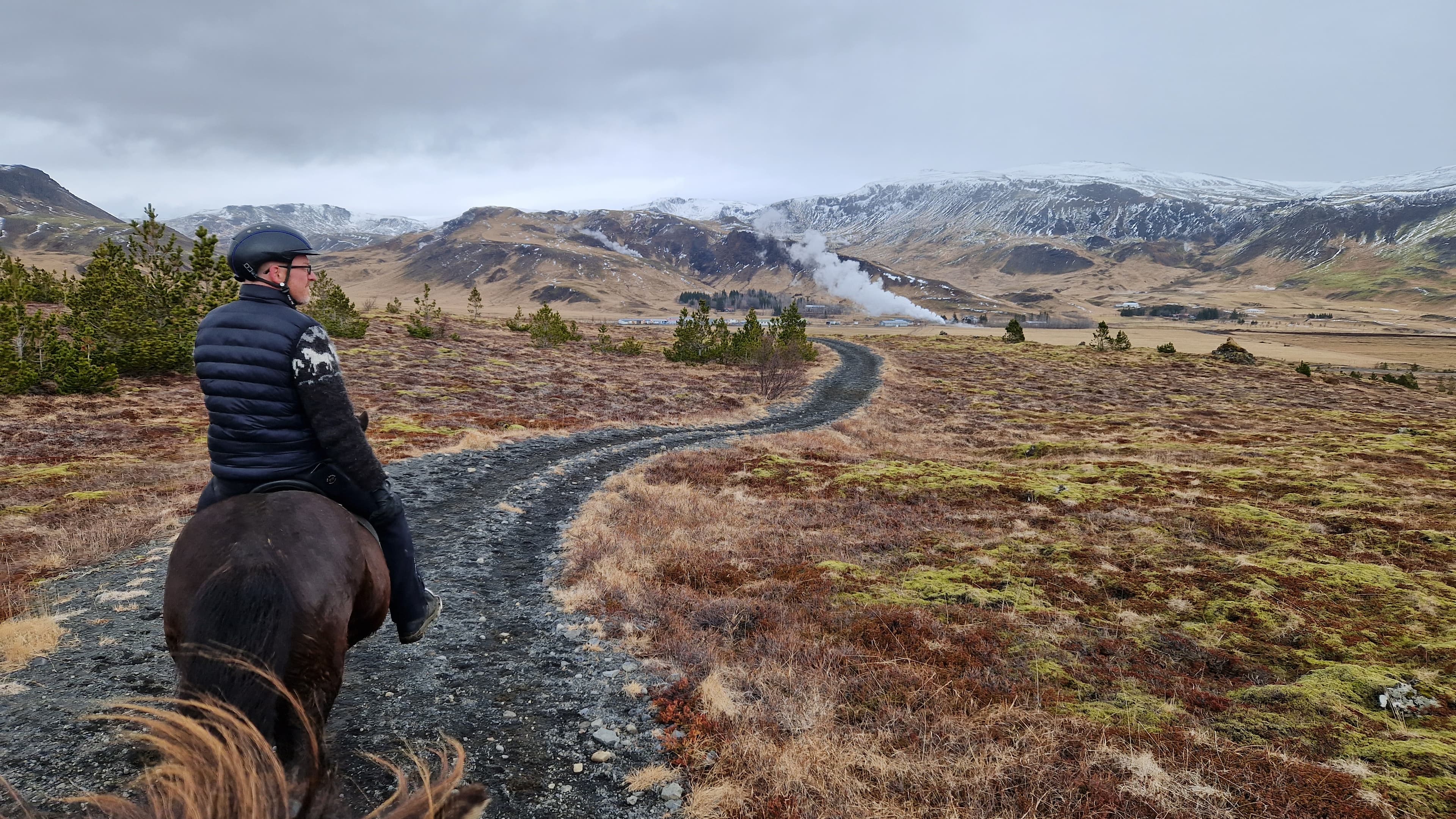 Horse Riding Tour in Reykjadalur (Hot Spring Valley)  - photo 2