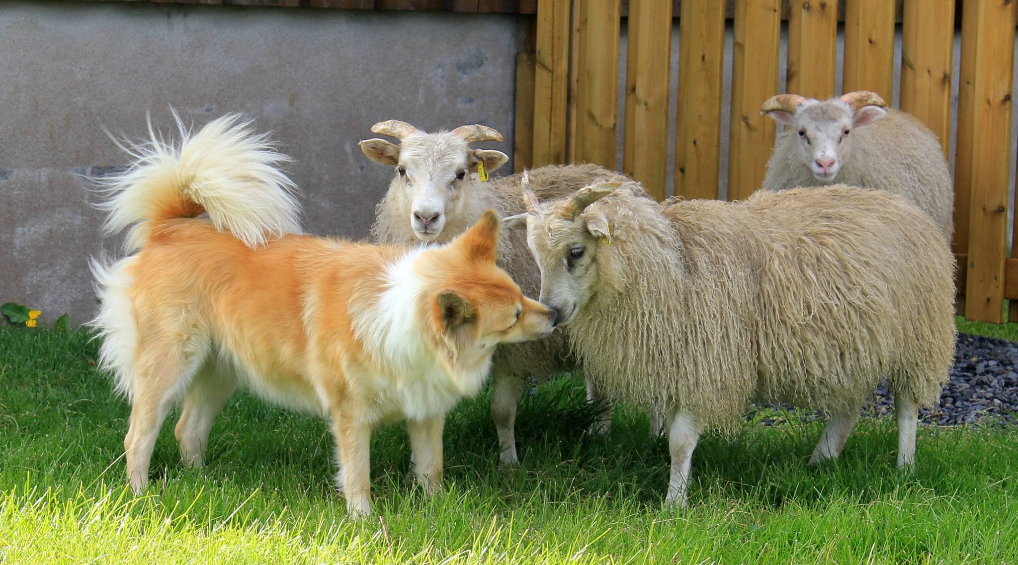 Custom Made Private Day Tour - photo 35