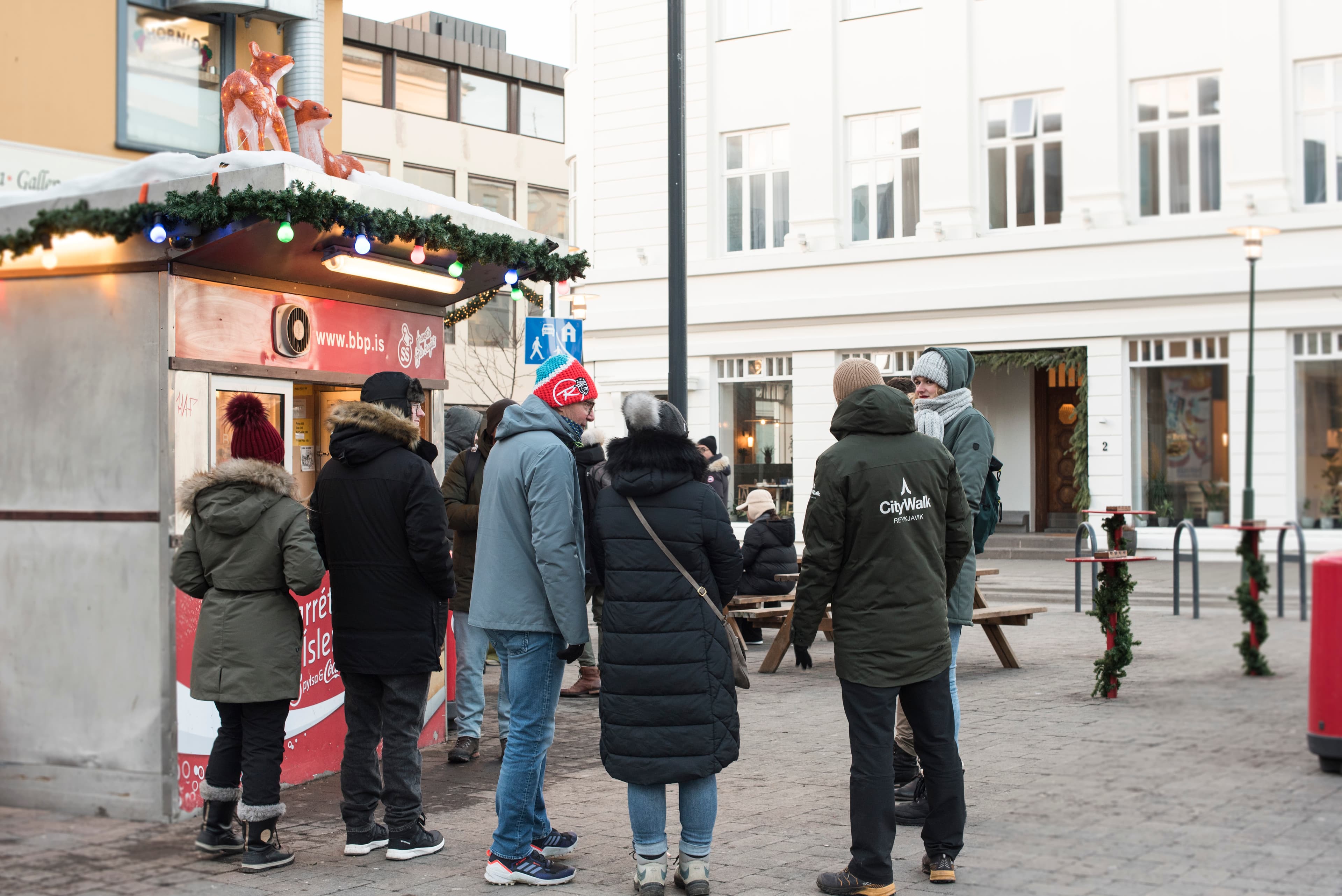Reykjavik Walking Tour small group - CityWalk - photo 9
