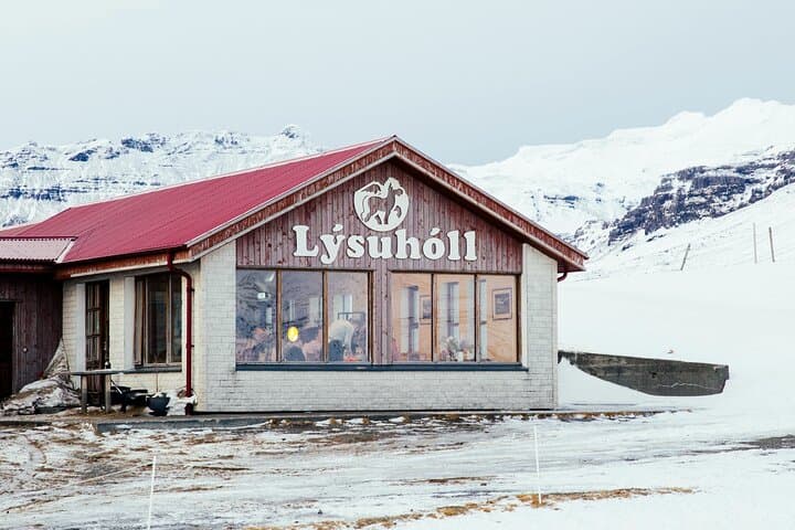 Snæfellsnes en español con almuerzo incluido en una granja en minibus - photo 3
