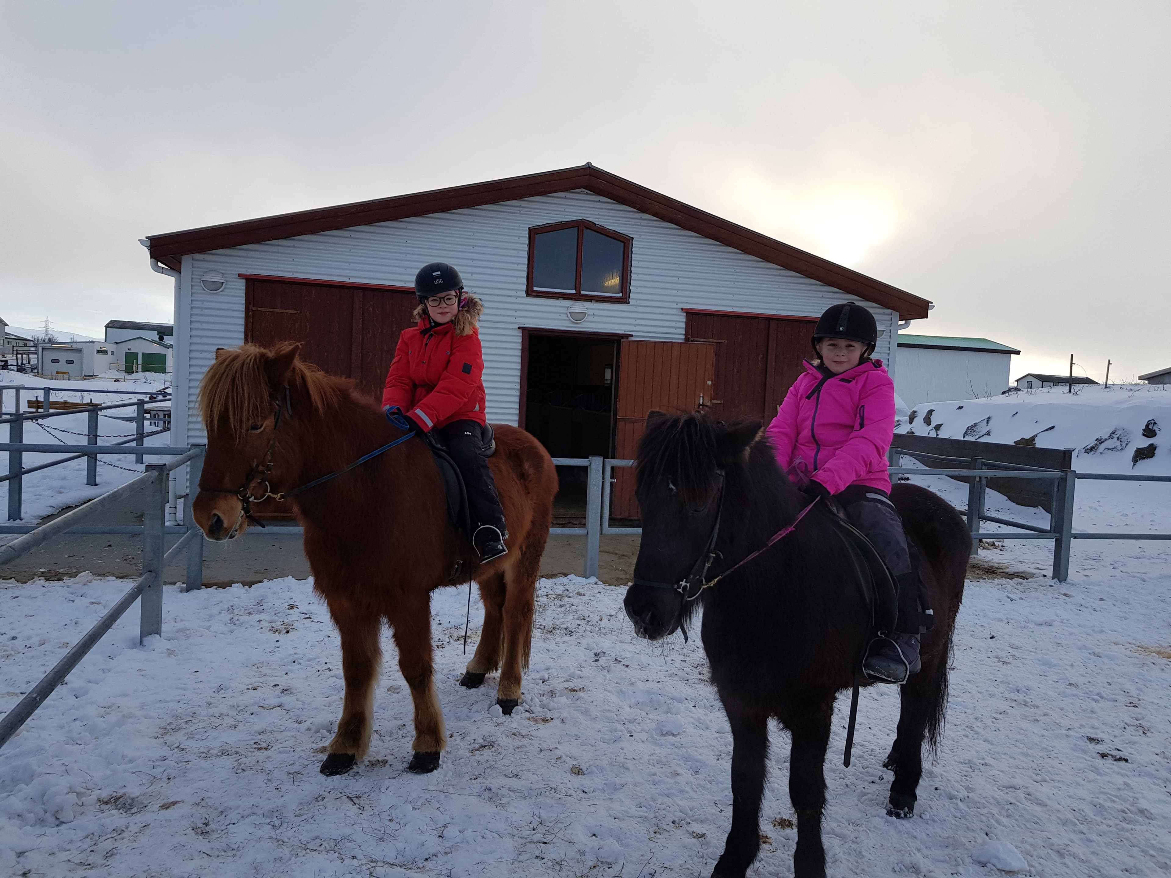 1 Hour - Winter Red lava Tour (With or Without Pick Up)  - photo 2
