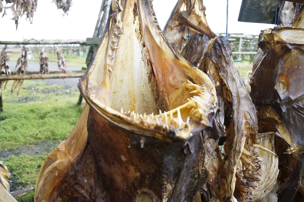 Private Reykjanes peninsula - photo 3