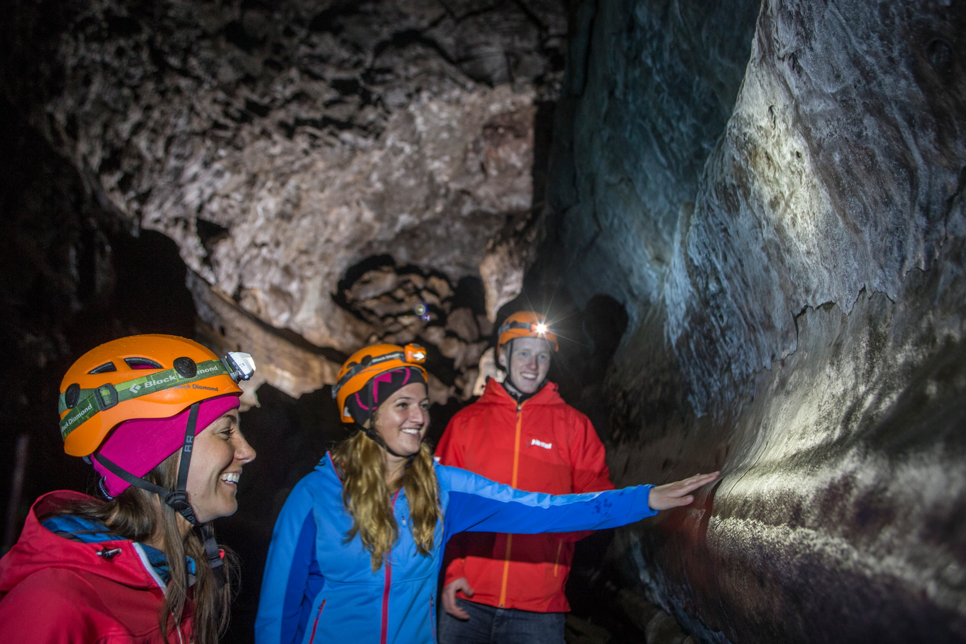 Whale Watching & Caving - photo 7