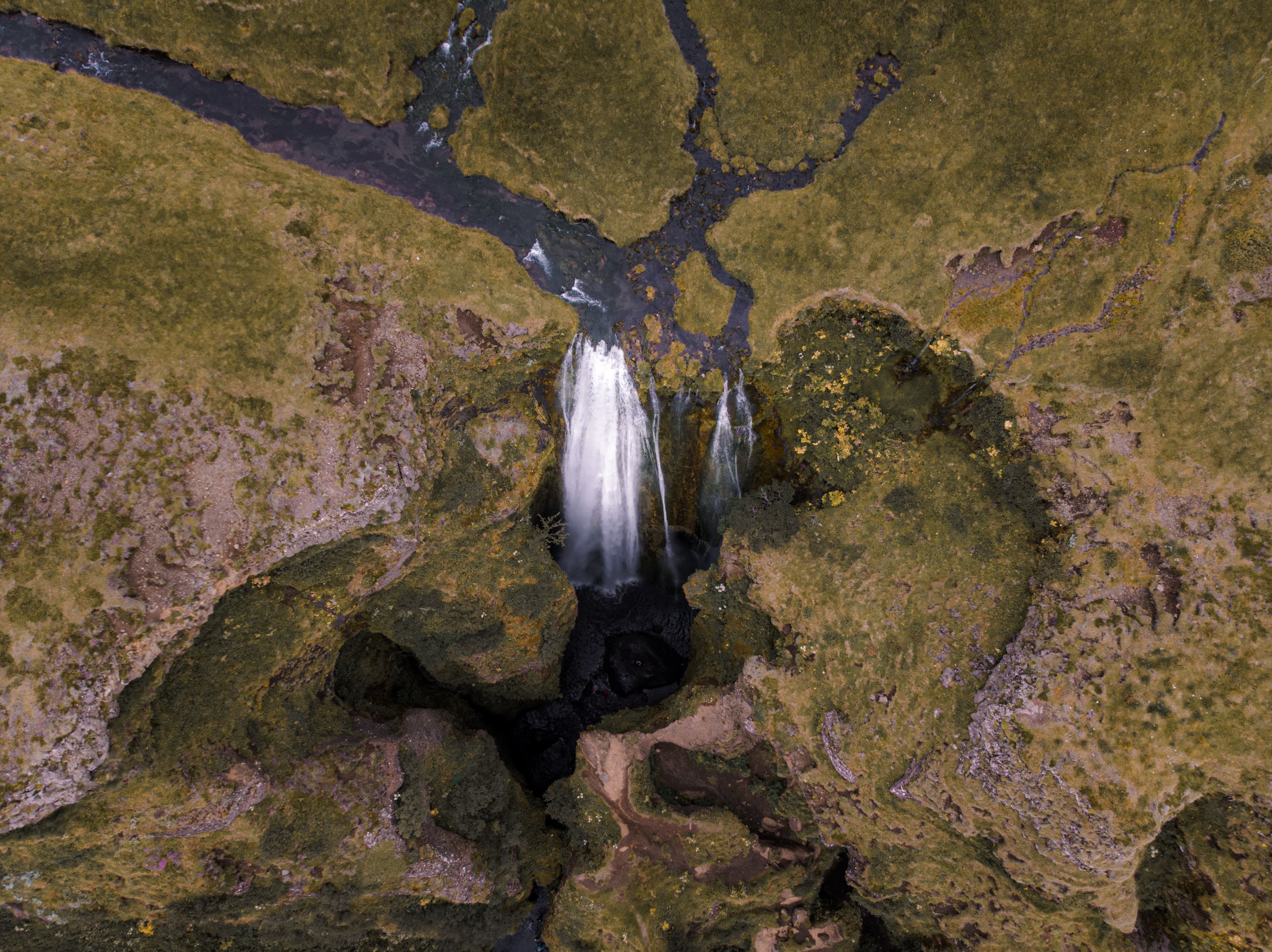 Private South Coast tour  - photo 2