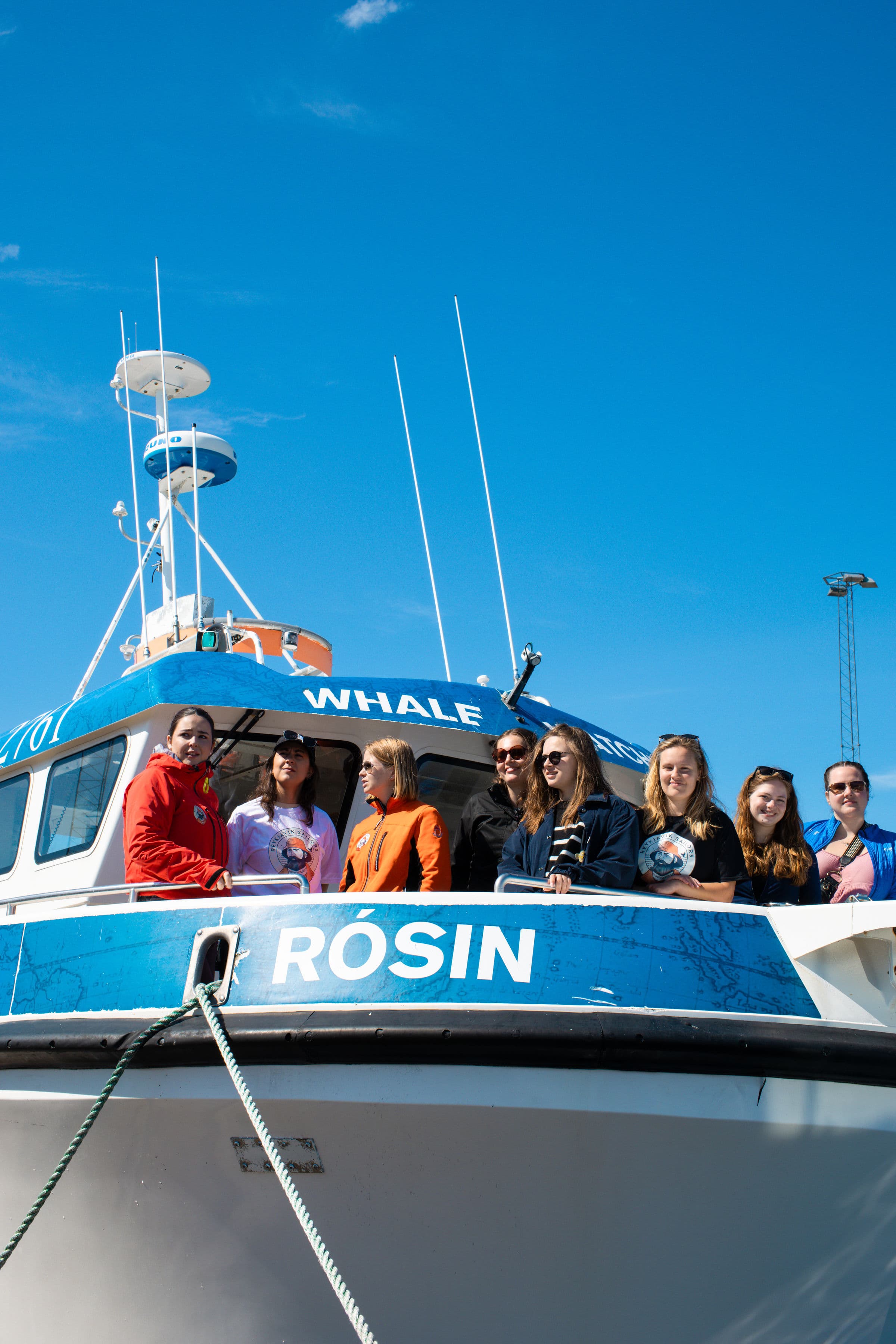 Best Value Whale Watching tour from Reykjavik - photo 5