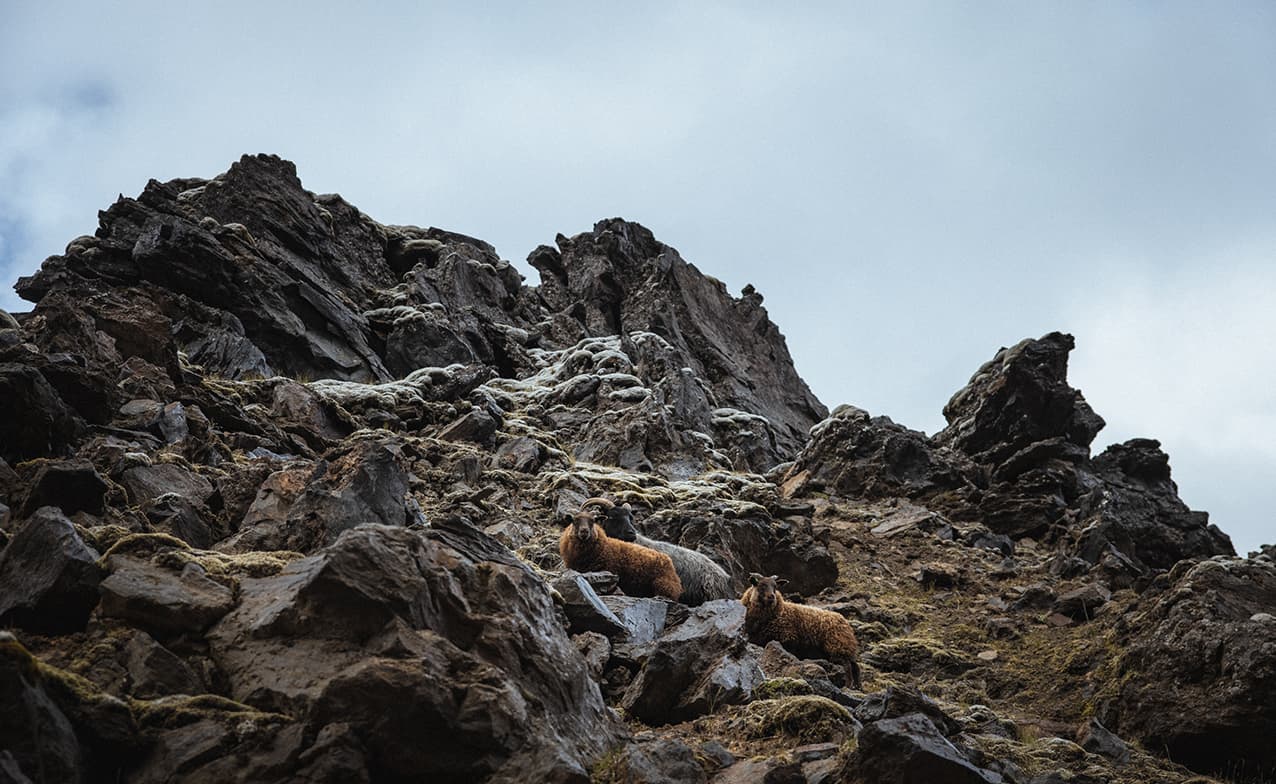 Secret Gems of Highlands & Landmannalaugar | Private Tour | Photo package included - photo 33