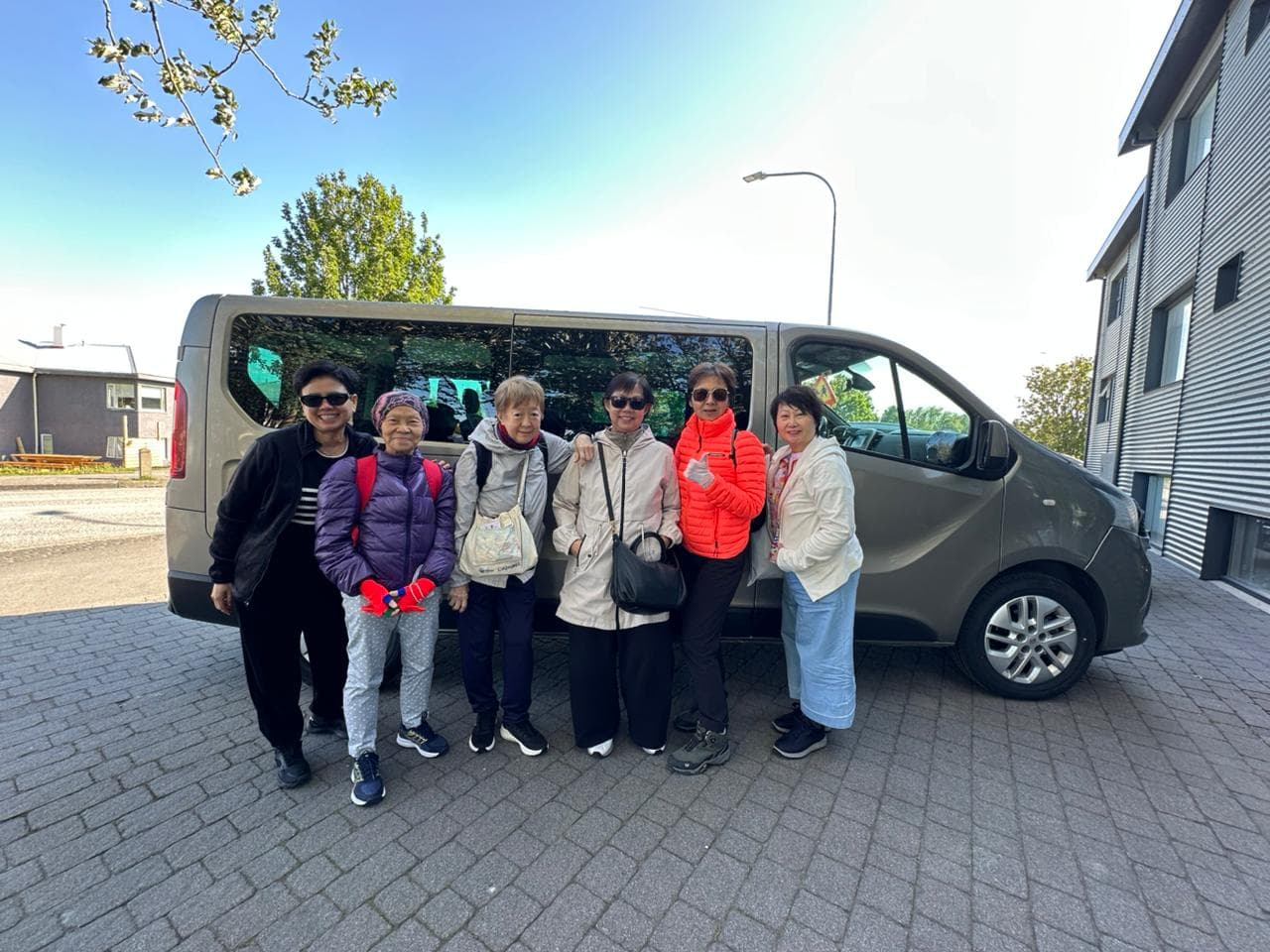 Reykjavik Hotels and Cruise Port: Private Transfer - photo 3