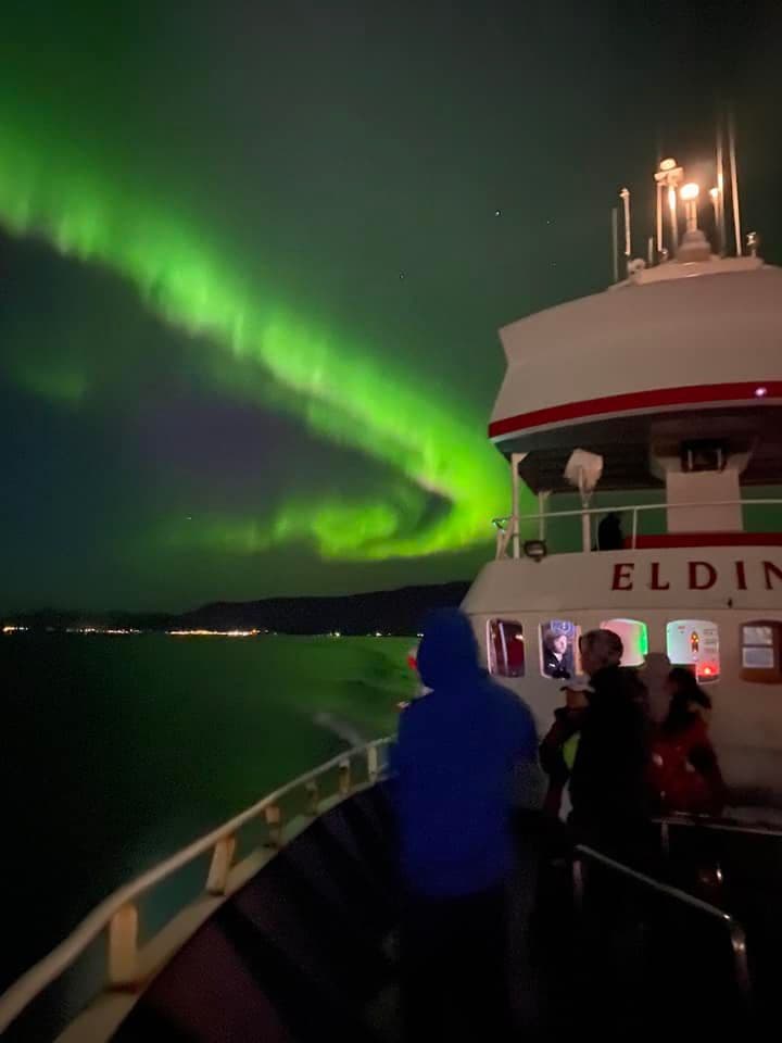 Reykjavík Northern Lights & City Cruise - photo 19