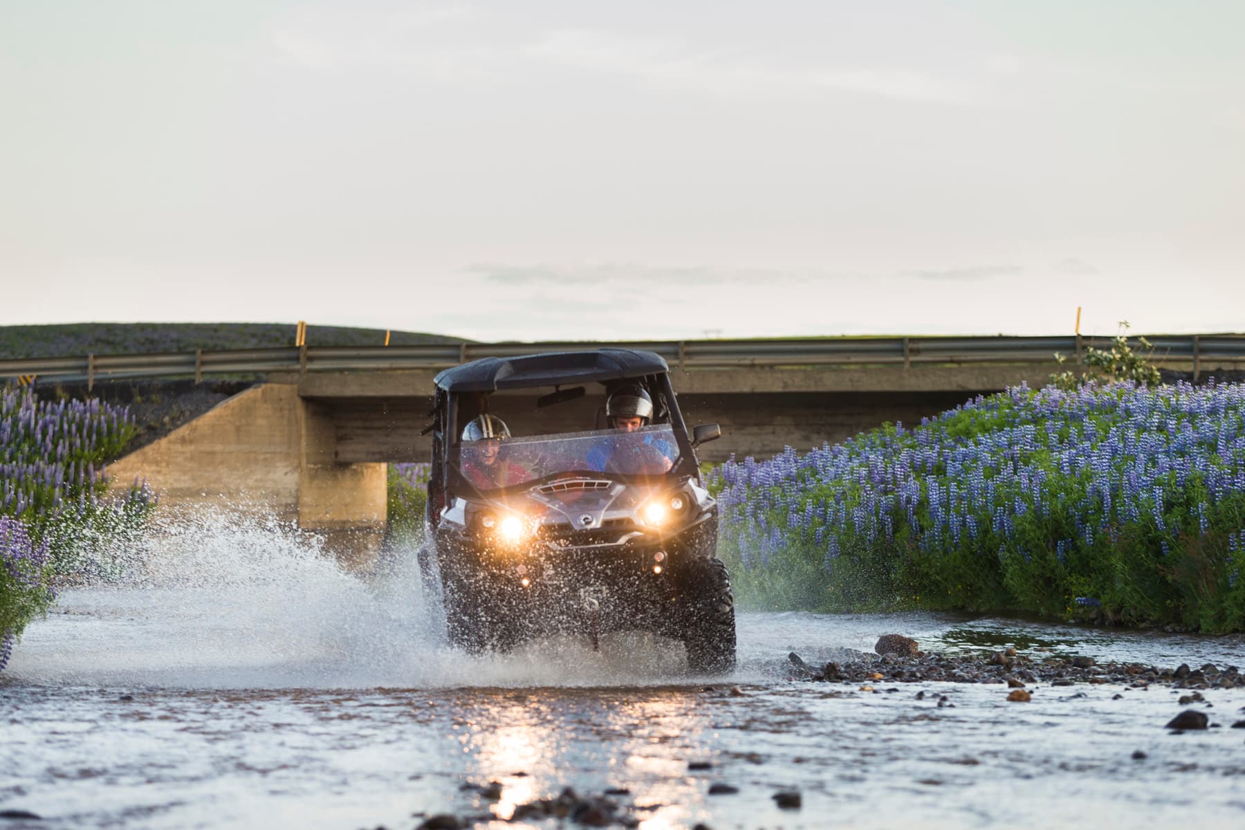 Buggy & Golden Circle - photo 3