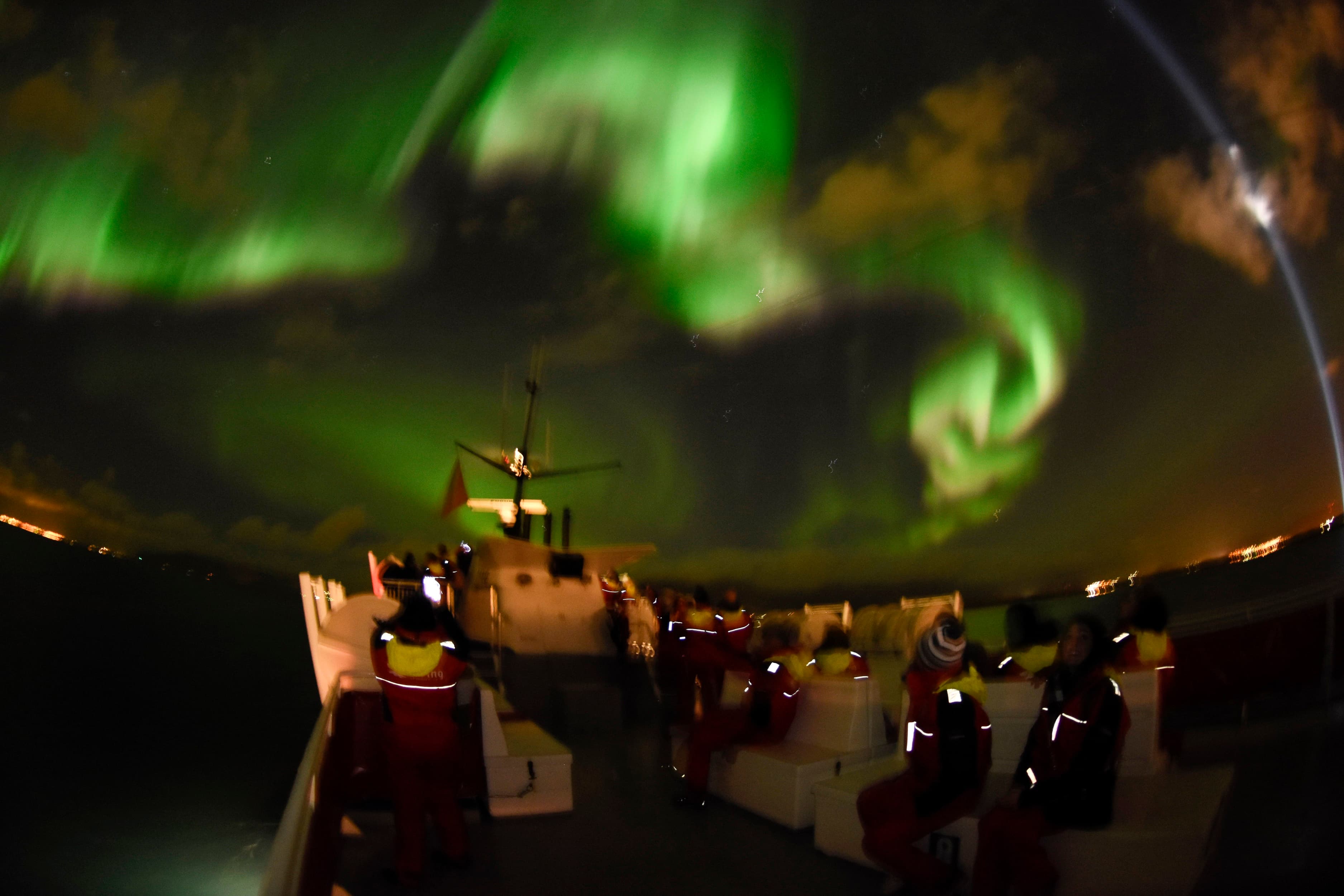 Reykjavík Northern Lights & City Cruise - photo 18