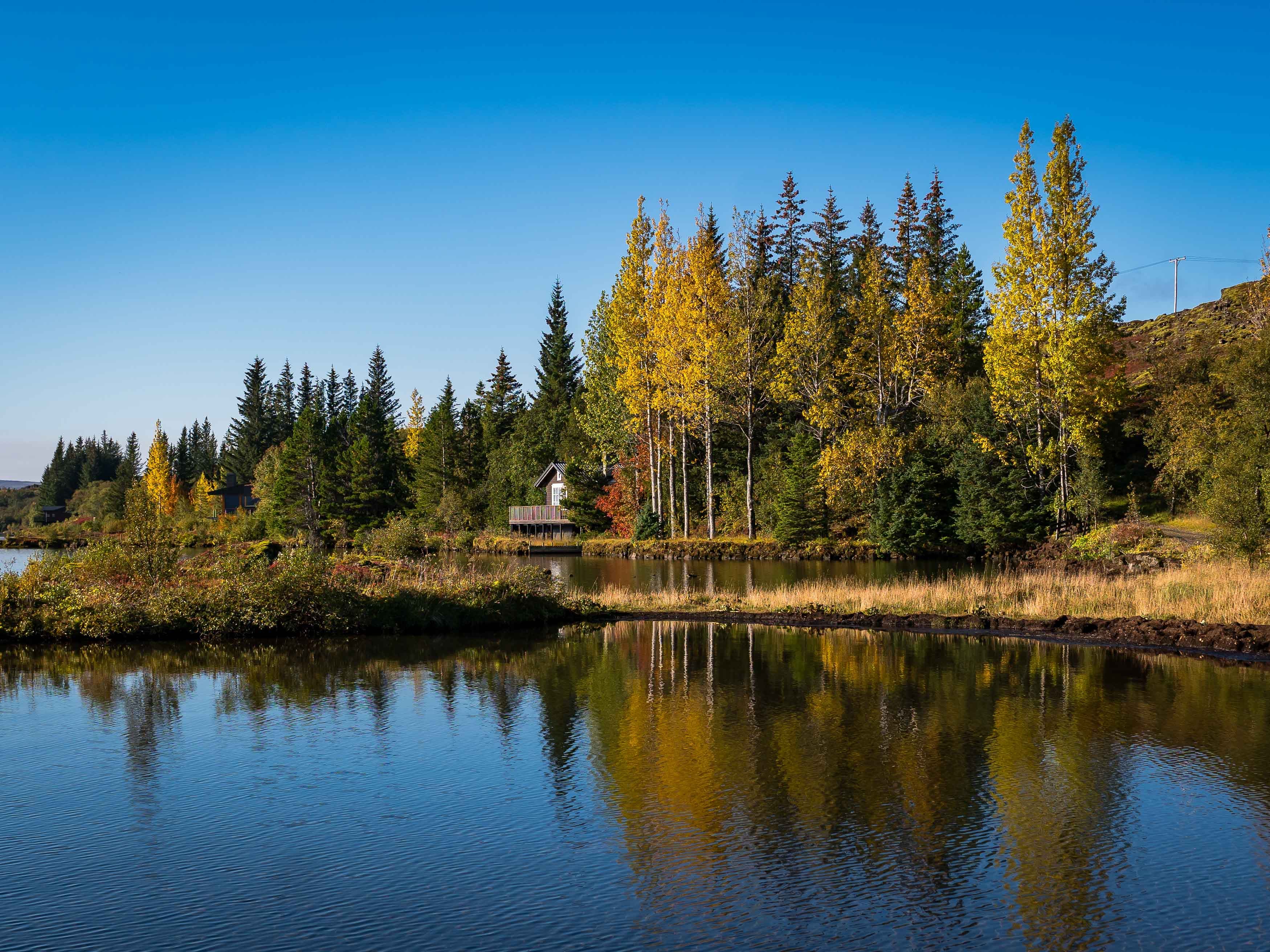 Golden Circle and Waterfalls, with Friðheimar Farm and Kerið in small group - photo 33