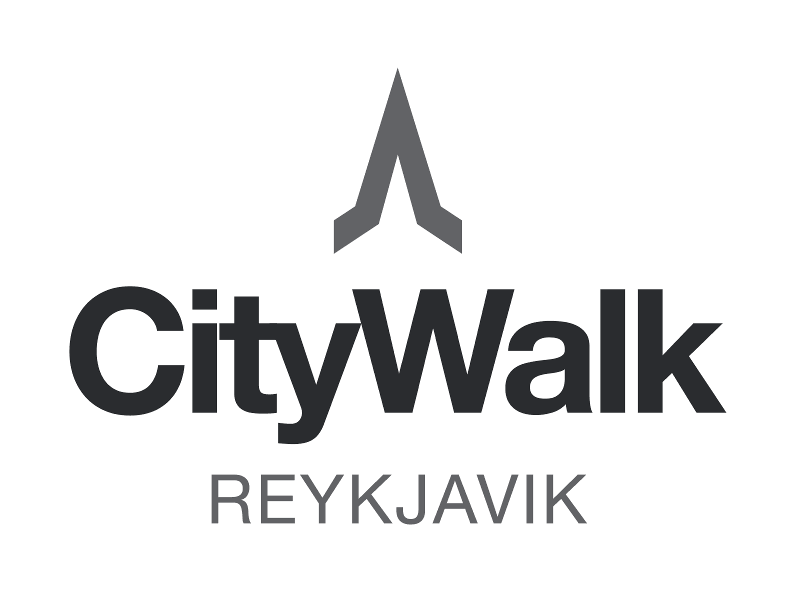 Reykjavik Walking Tour small group - CityWalk - photo 3