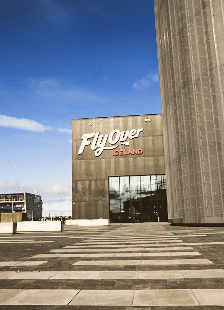 Whale Watching & FlyOver: Aerial Excursions and Oceanic Encounters - photo 12