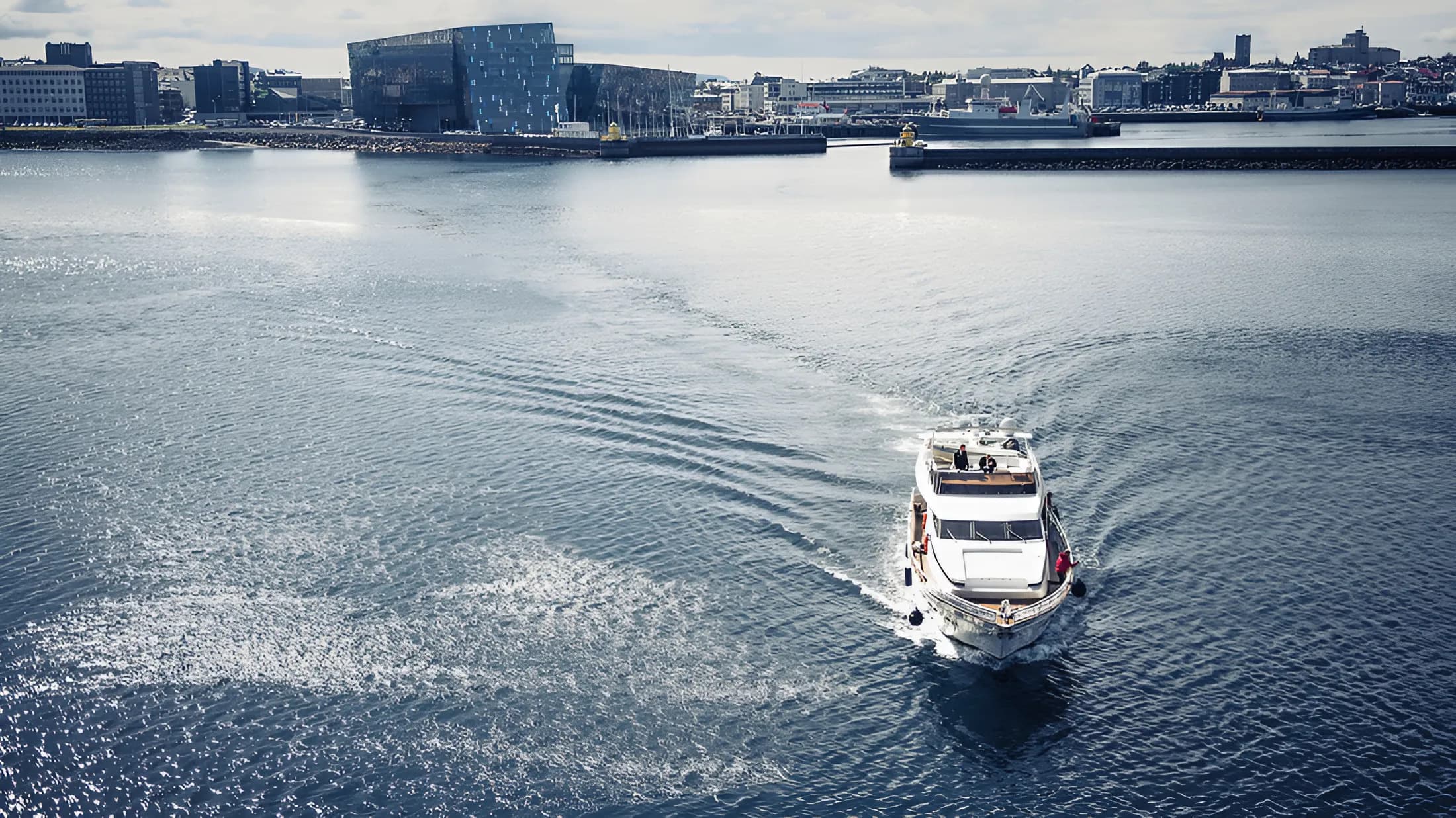 Puffins & People: A Reykjavik City & Boat Adventure - photo 12