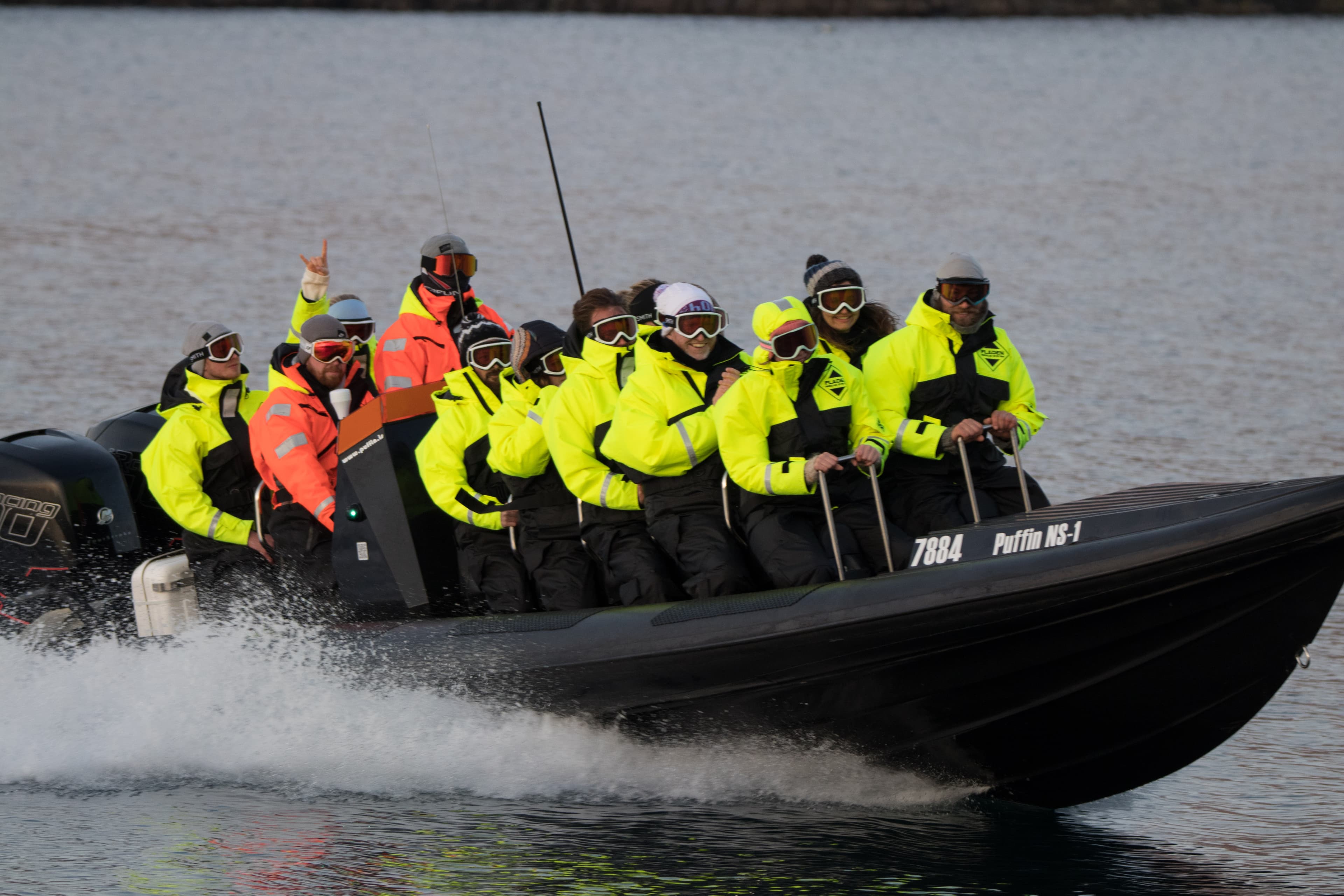 Puffin Quest - photo 19