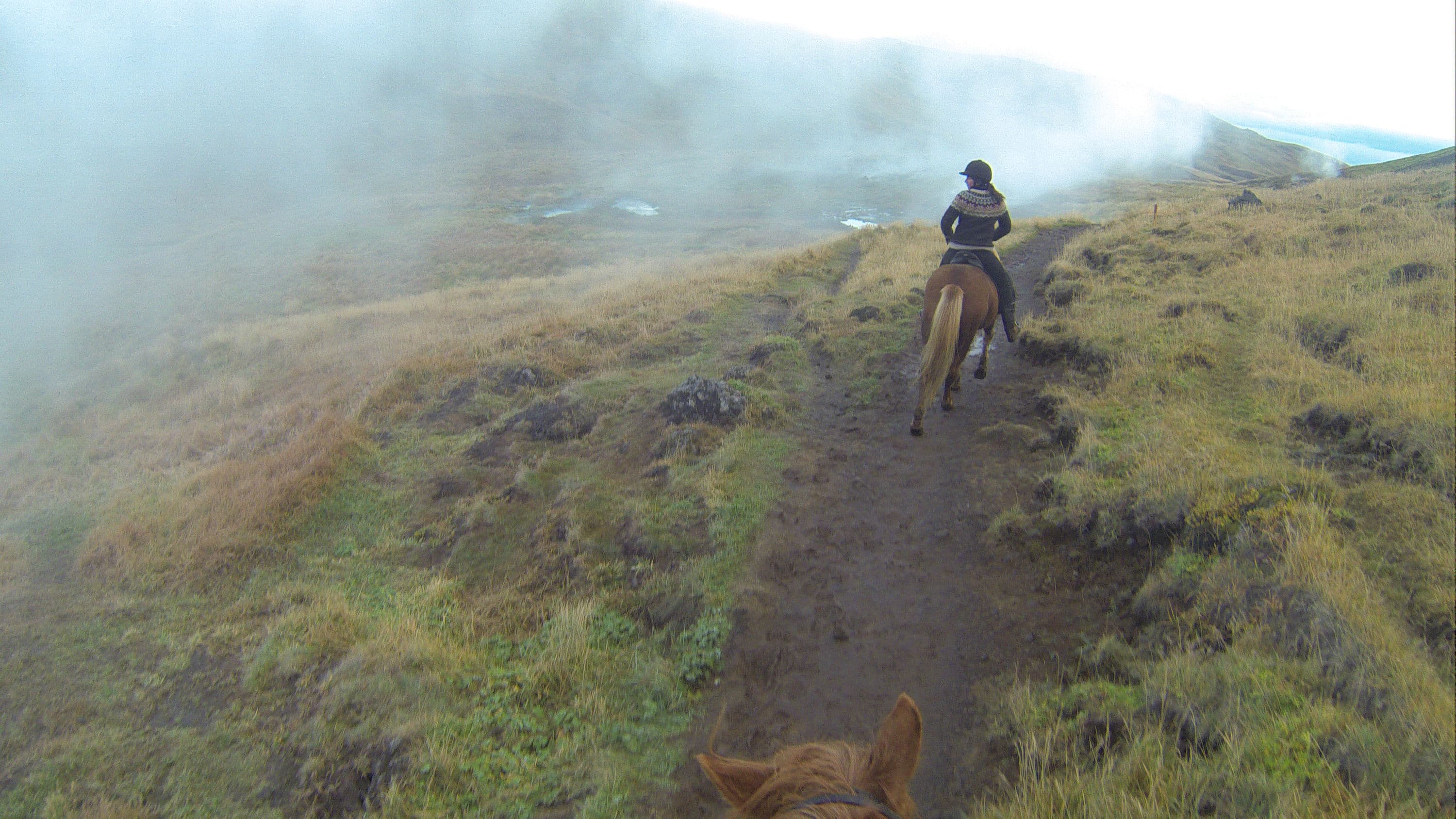 Into The Hot Spring Valley - Horseback ride & bathe (small groups guarantee) - Reykjadalur - photo 10