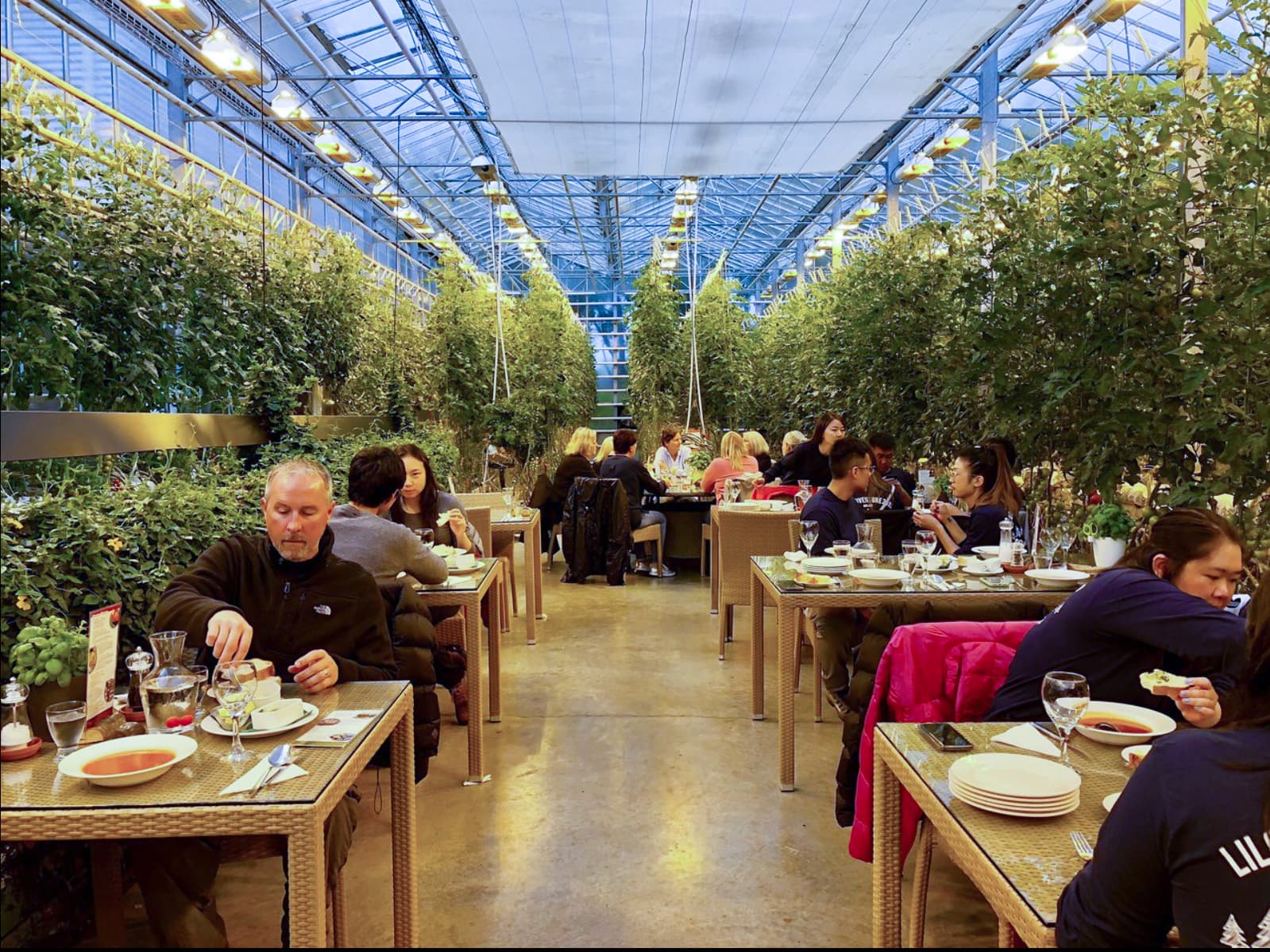 Golden Circle | Private Tour | Photo Package Included - photo 4