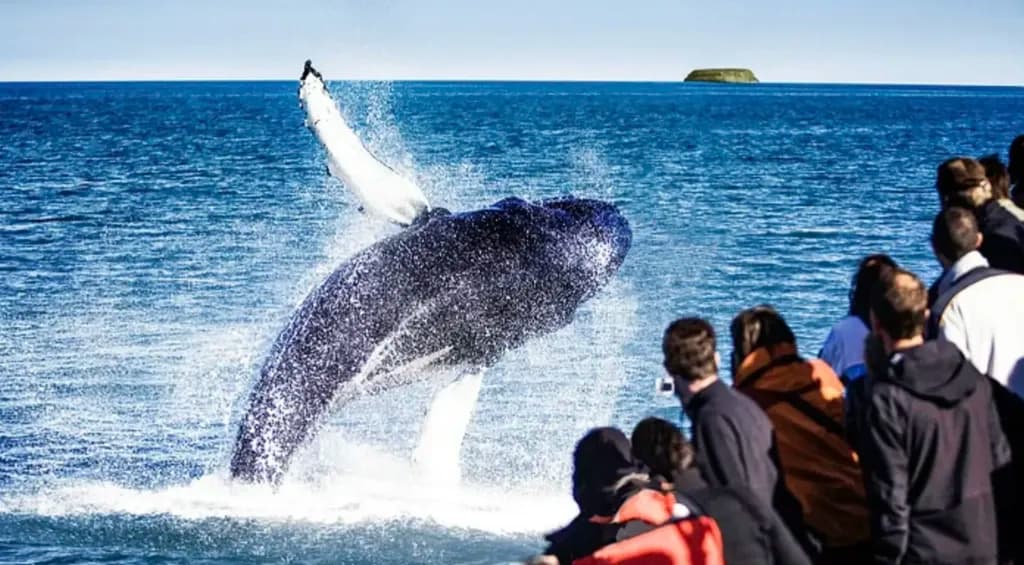 Private Nature Lovers Tour from Akureyri