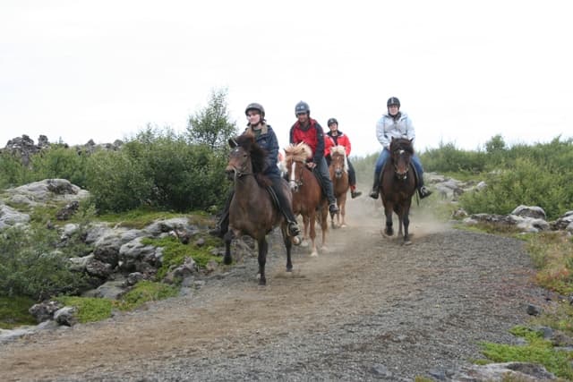 Viking Tour  - photo 8