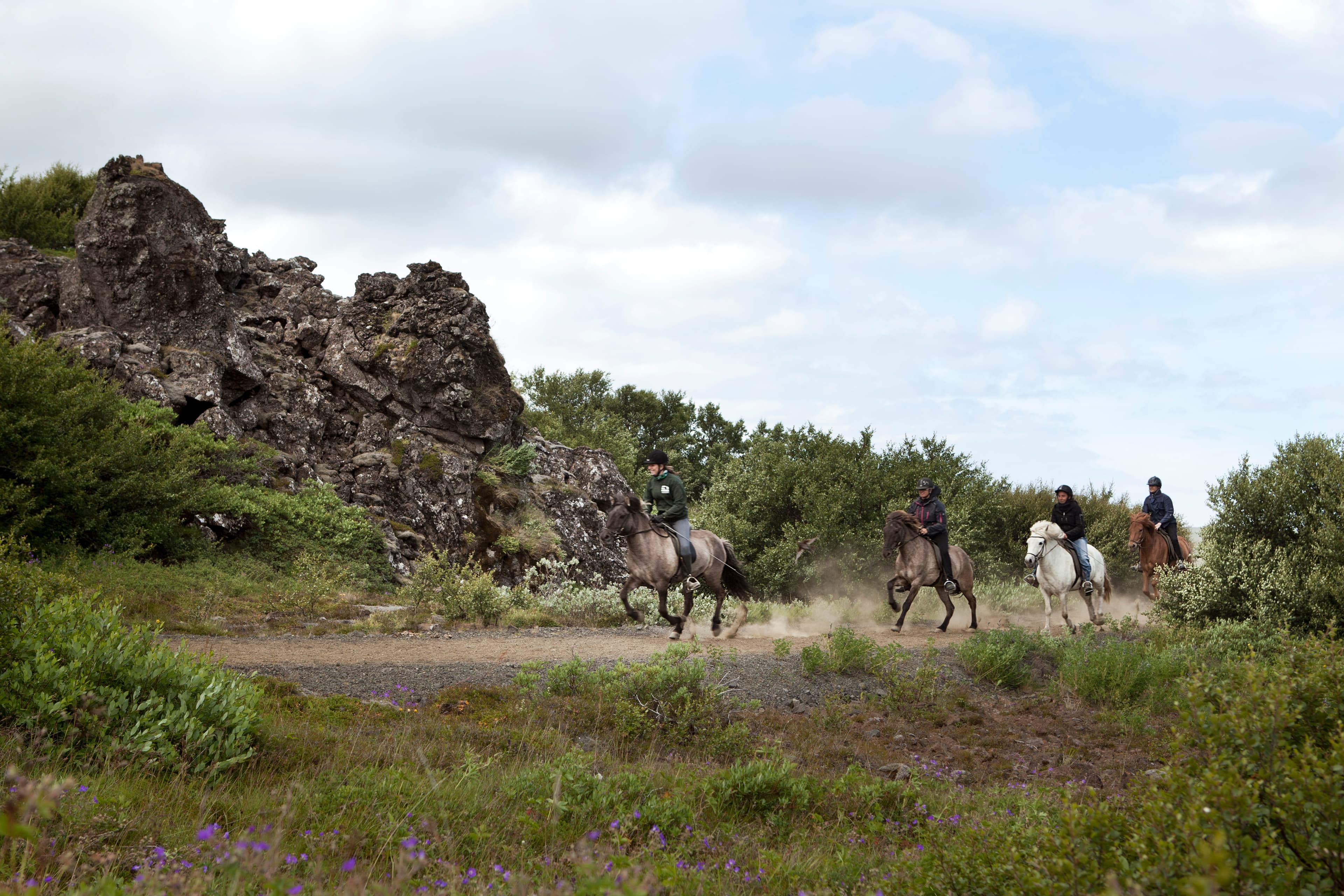 Viking Tour  - photo 9