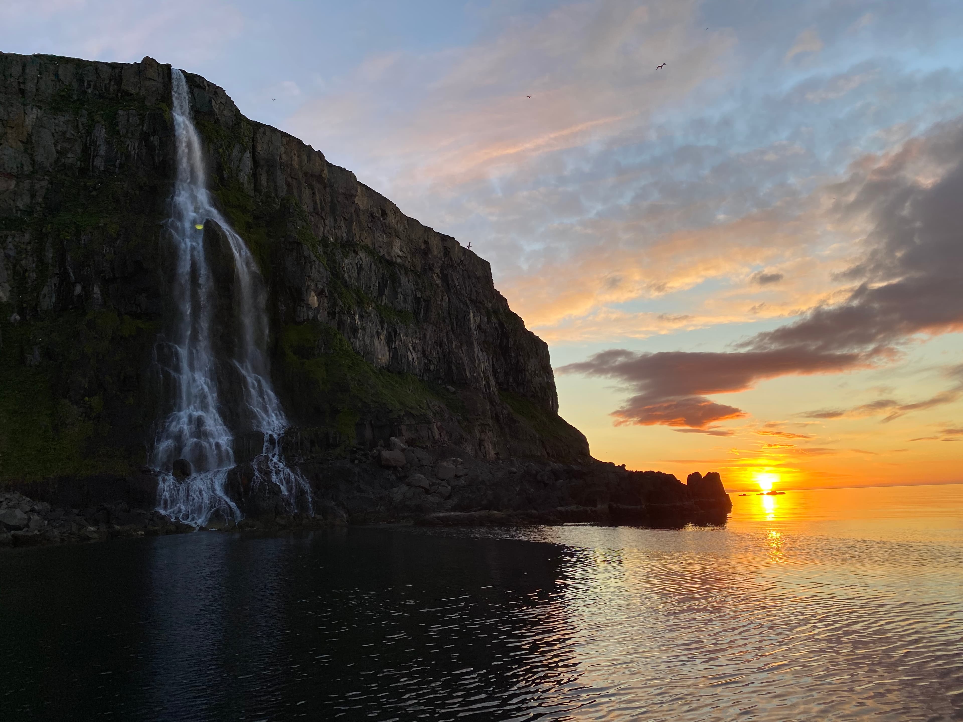 Midnight Sun Whale Watching - photo 2