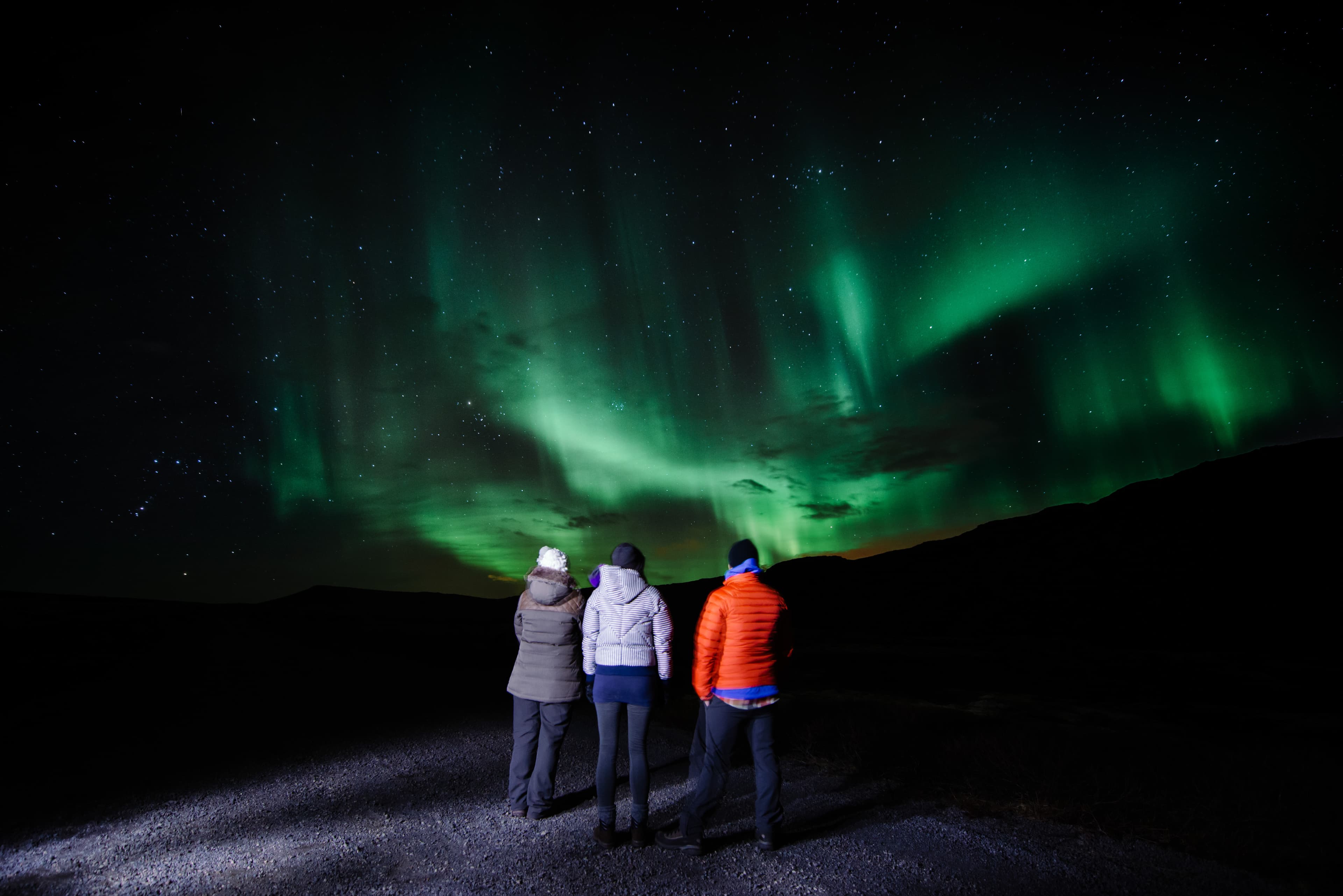 Whale Watching and Northern Lights from Reykjavík