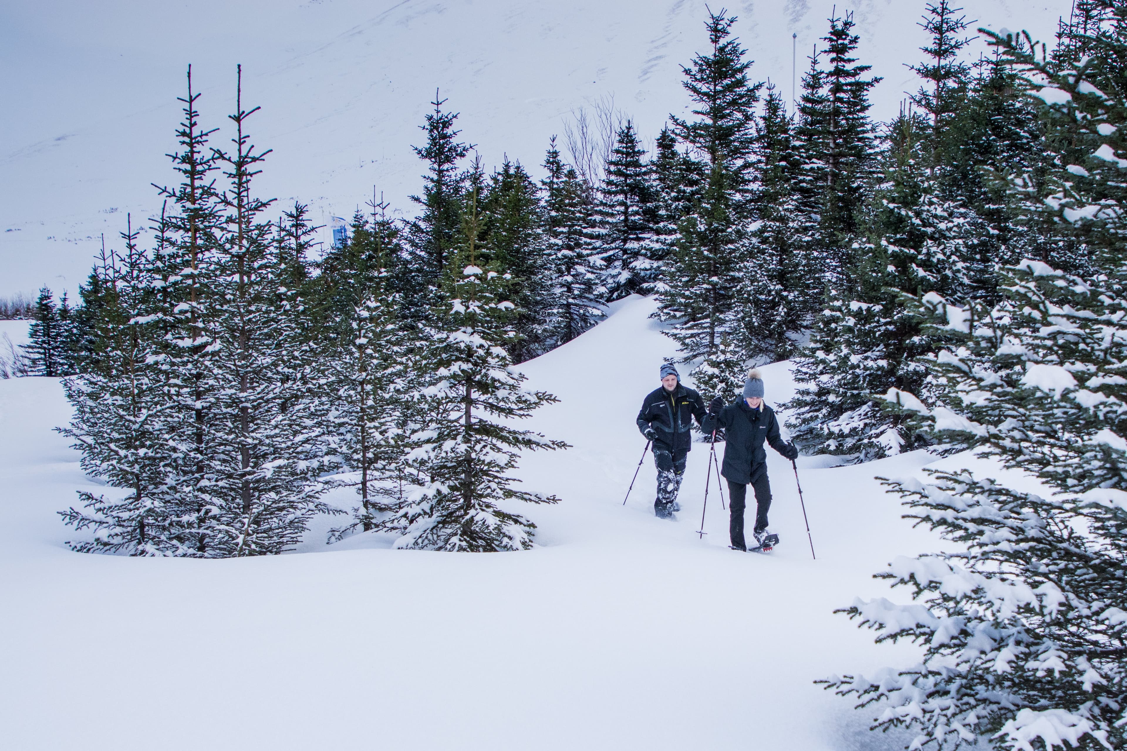 Snowshoe walking