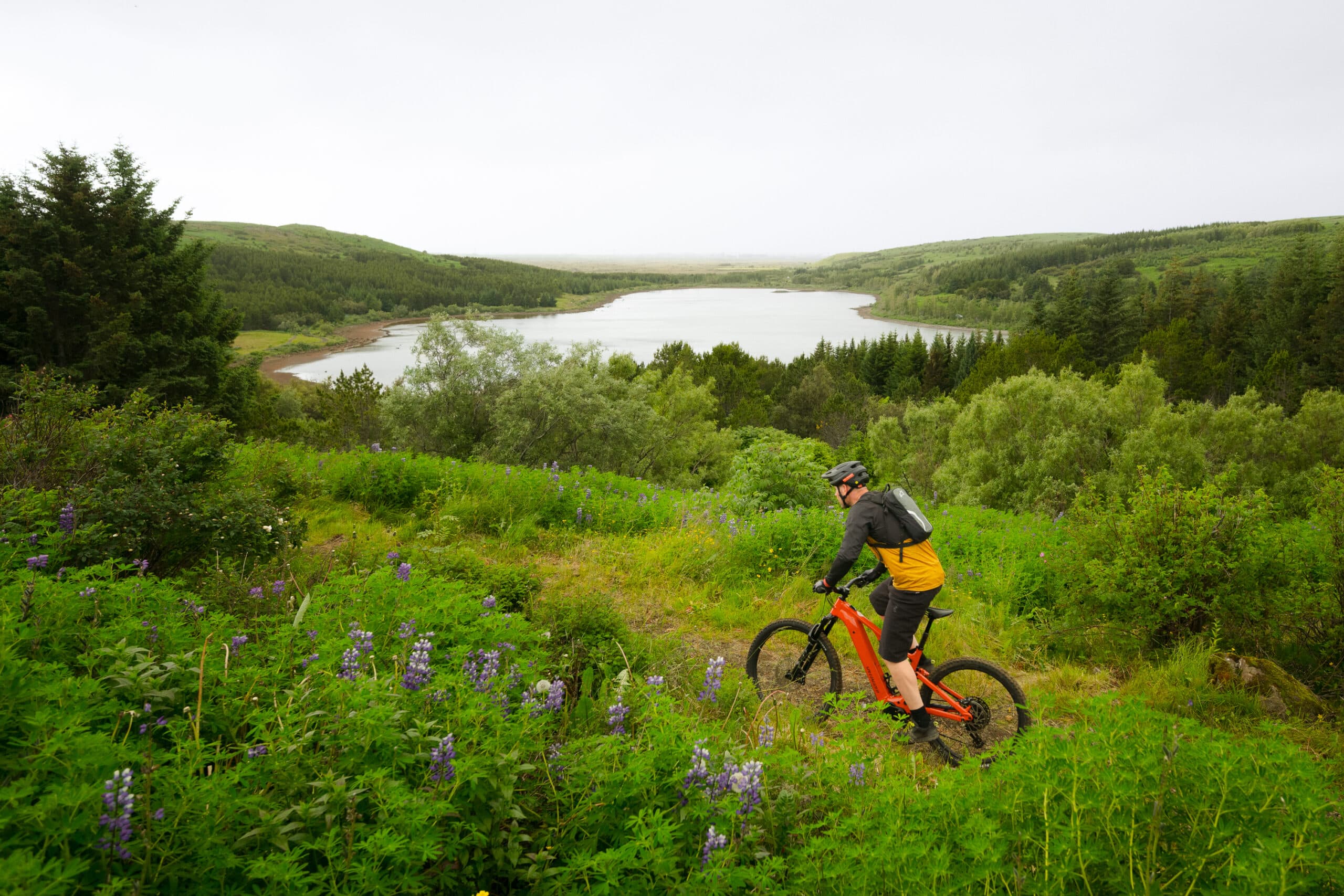 E-MOUNTAIN BIKE TOUR FOR BEGINNERS IN REYKJAVIK