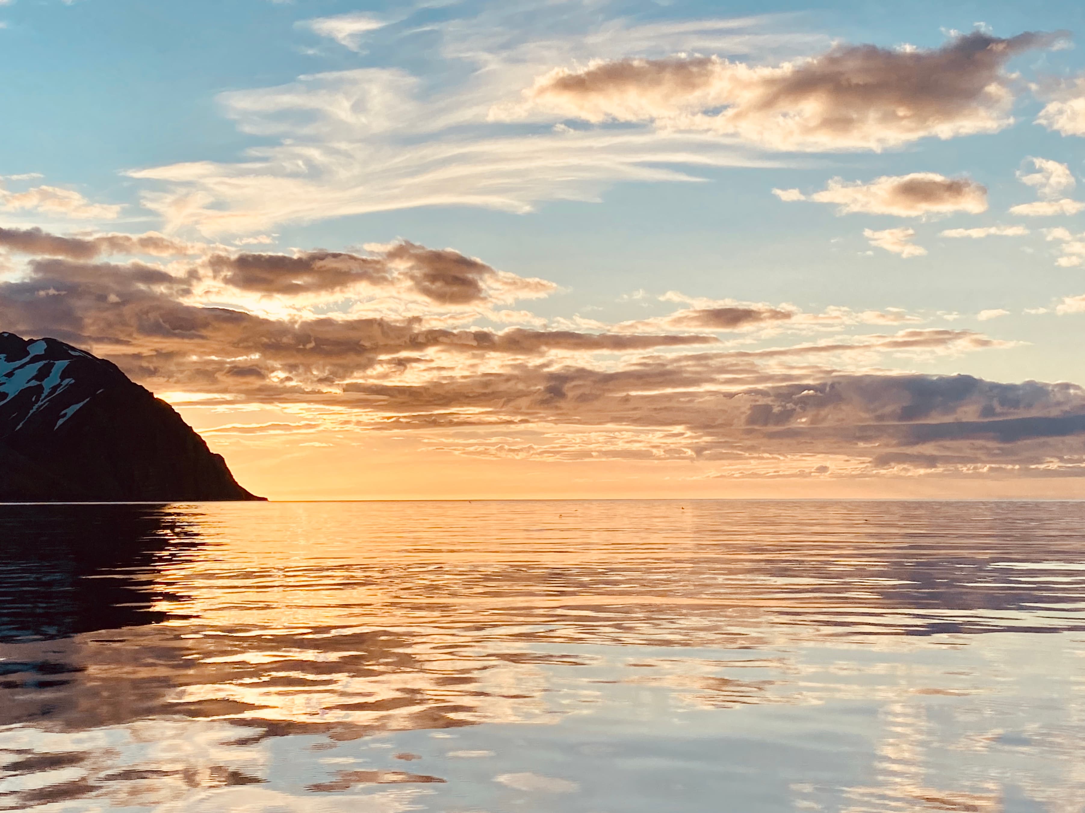 Midnight Sun Whale Watching - photo 3