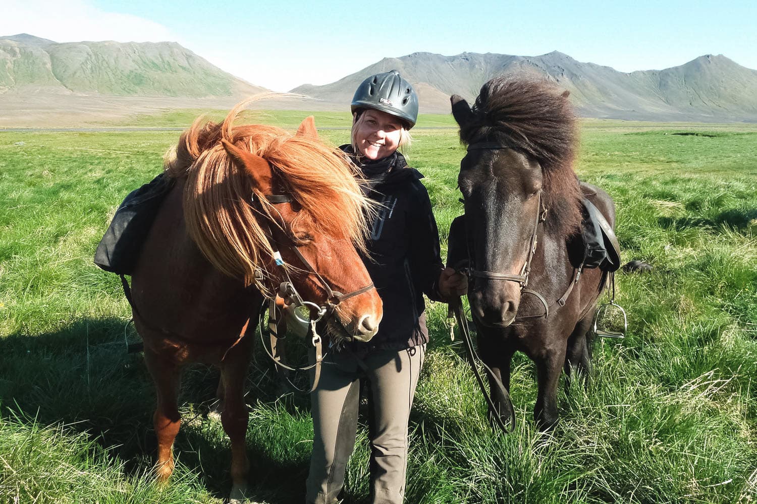 Whales and Horses